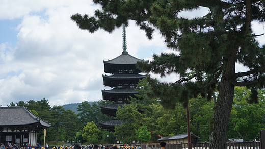 带着黛玉游关西-道顿堀,东大寺,奈良公园,奈良,大阪城