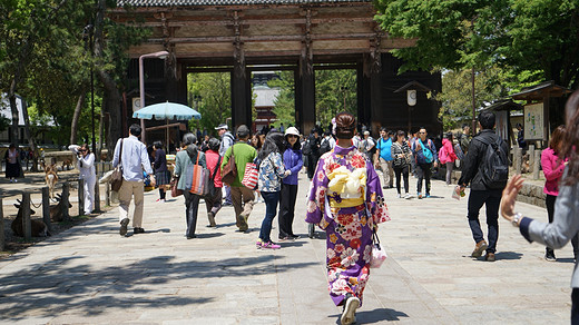 带着黛玉游关西-道顿堀,东大寺,奈良公园,奈良,大阪城