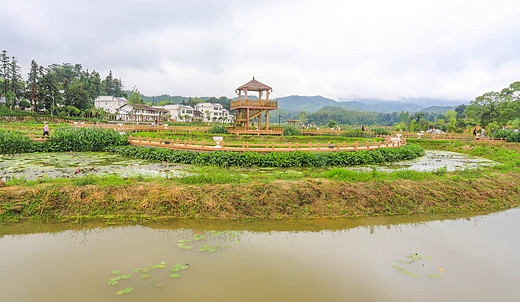 江西的这座小镇前途不可限量，遍地都是古建筑，满池都是荷花！-抚州