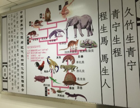 复 有诗书气自华， 旦 夕之费栋梁才 复