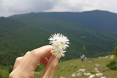 https://qyimg.iqingyi.com/inpost/20180621/8c9c611ef13df379c713ff277cac950c.jpg!postcover