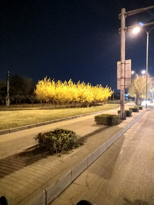 放不下的是你