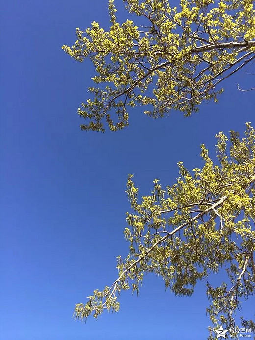 我不知道将去何方，但我已在路上。