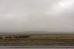 https://qyimg.iqingyi.com/inpost/20180708/ebba3375e6700ab418a85ef4461f43bb.jpg!postcover