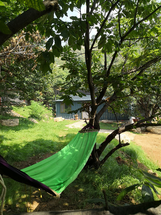 盛夏，那山