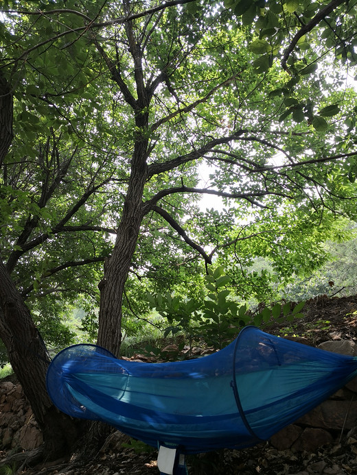 盛夏，那山