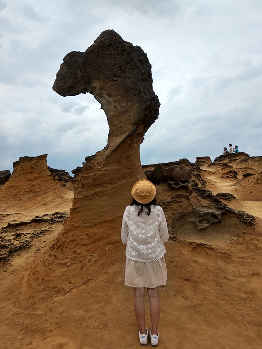 学生党的台湾环岛自由行（一）-花莲,台北,渔人码头-淡水,淡水,野柳地质公园