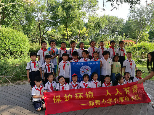 日照新营小学