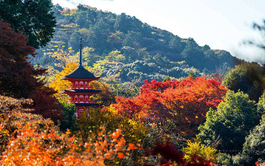 日本京都最强攻略之清水寺 / 见证千年的风采