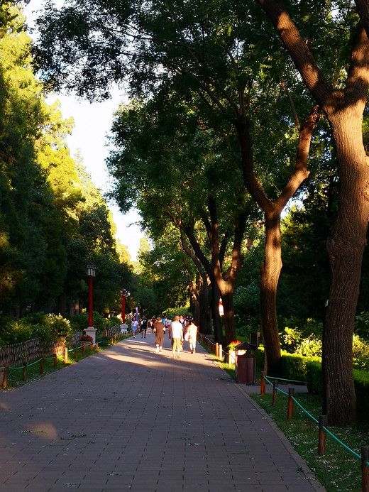 景山公园行