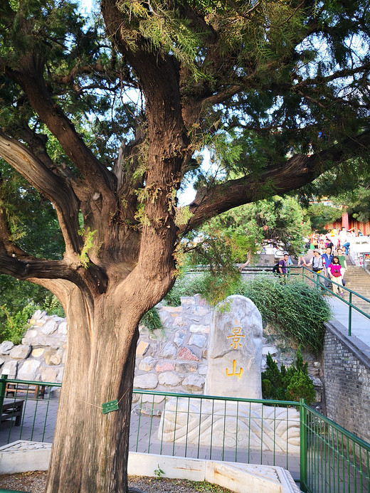 景山公园行