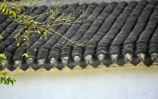 常熟这座被螃蟹包围的村庄，已是秋光映芦荡-沙家浜景区