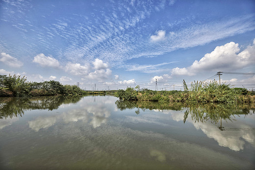常熟这座被螃蟹包围的村庄，已是秋光映芦荡-沙家浜景区