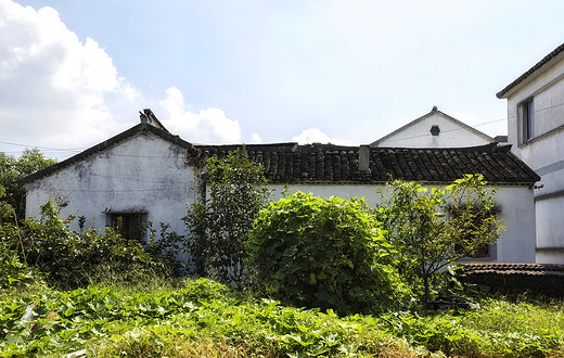 常熟这座被螃蟹包围的村庄，已是秋光映芦荡-沙家浜景区