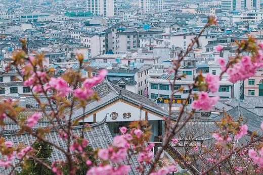 丽江泸沽湖 | 时过境迁依旧是心头那枚白月光（1）