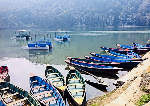 一个人的净化心灵（懵逼）之旅-NEPAL-巴德岗杜巴广场,巴德岗,费瓦湖,博卡拉,泰米尔街