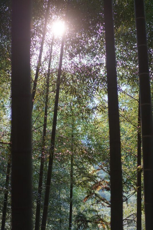 2018.10.3-4游侠宝贝小小竹匠，活动丰富，快乐国庆节