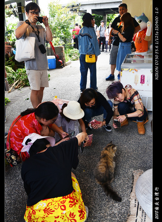 2018年国庆台湾行之攻略游记（上篇）-台北总统府,西门町,龙山寺,士林夜市,台北故宫