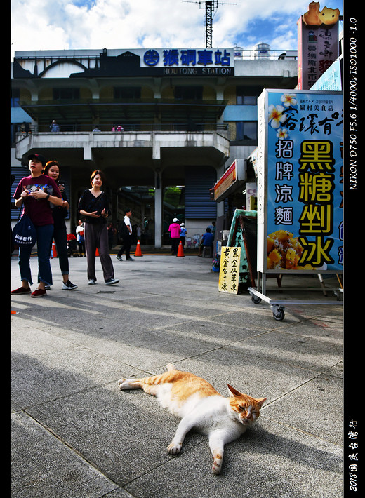 2018年国庆台湾行之攻略游记（上篇）-台北总统府,西门町,龙山寺,士林夜市,台北故宫