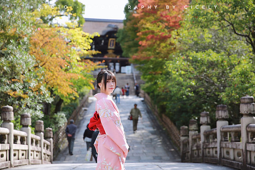 京都的寺、奈良的鹿、大阪的城…暴走关西日记丨日本6日自由行（1）-花见小路,八坂神社,清水寺,鸭川