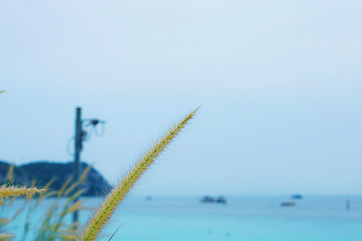 芭提雅——小雨转晴