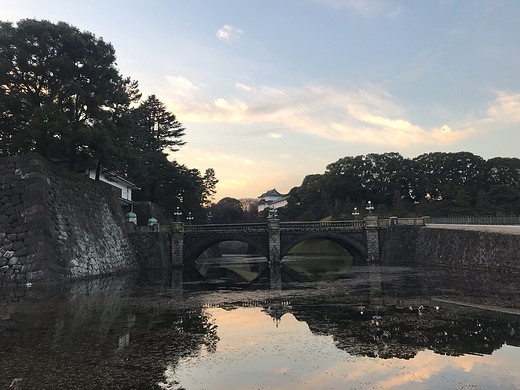 漫步于冬日的东京......点缀着秋的美丽-上野公园,新宿御苑,皇居,浅草寺