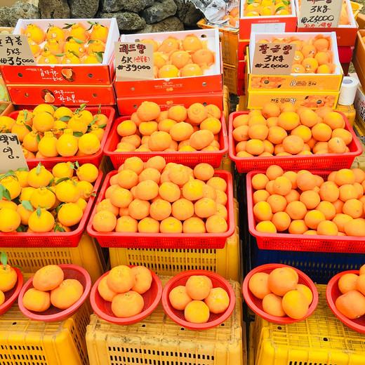 游走济州街头，寻找韩食（2）-城山日出峰,牛岛