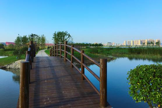 观花海 游湿地