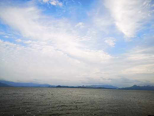 蓝天白云，大海海鸥，草地追逐，离开物质的