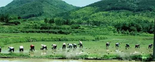 铜陵永泉农庄度假区