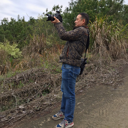 东山禅宗天下名，虎引洞下卧龙坪，月桂抱竹趸旗尖，美了洪楼醉佳人！