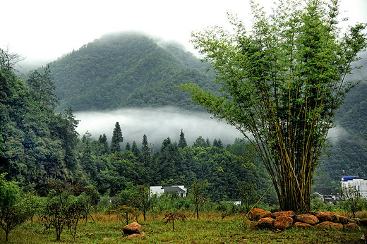 富硒原生态 春光满石台