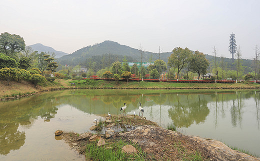 湖北最美的城区，坐拥无数自然人文风景，曾经两次成为国都