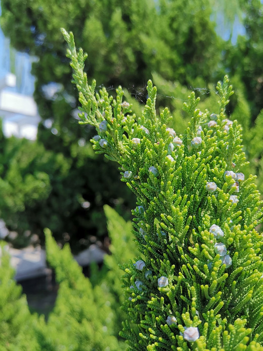 北京植物园半日游