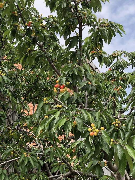 羊茂山之旅