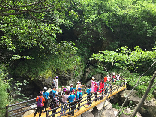 紫气环绕（龙、凤）亭，（望仙台）处有（问情）；飞流瀑布风情竹，巧夺天工棠树岭！