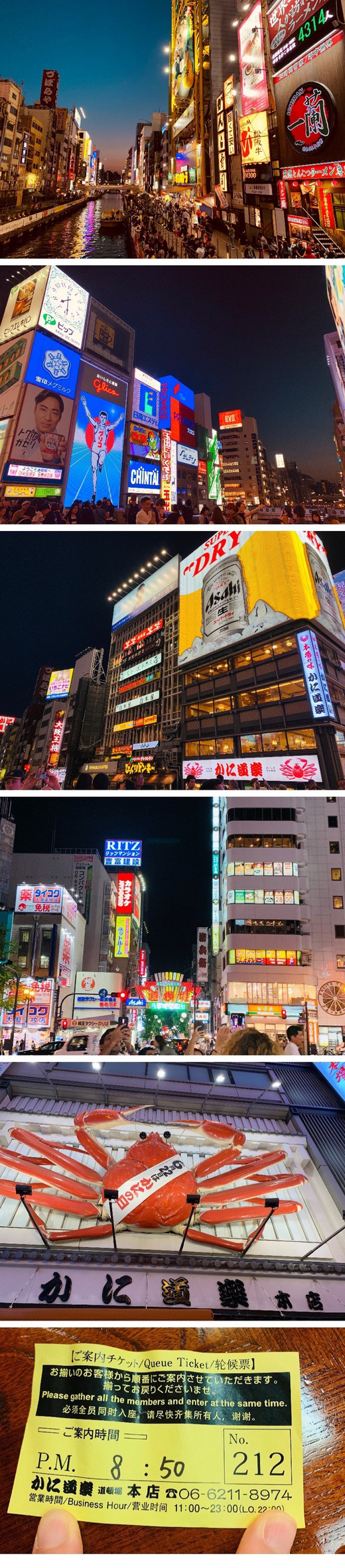 说走就走的旅行 京都 大阪 天保山大摩天轮 大阪海游馆 大阪城 大阪城公园 道顿堀 青驿