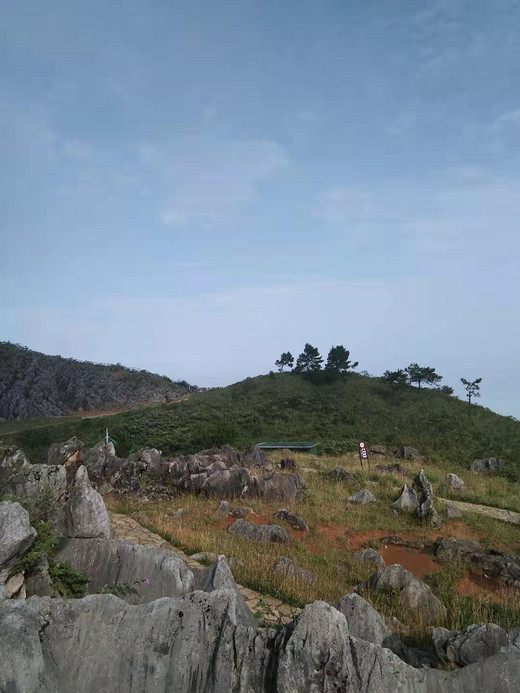 草场千野