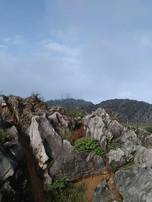草场千野