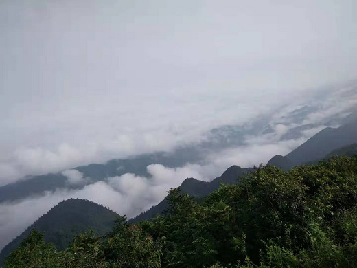 草场千野