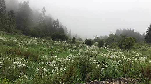 草场千野