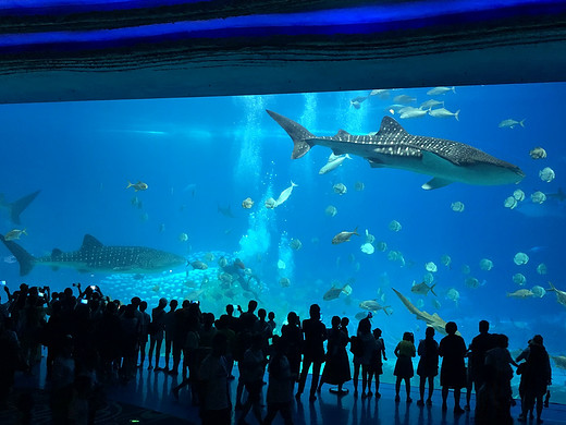 珠海长隆海洋王国