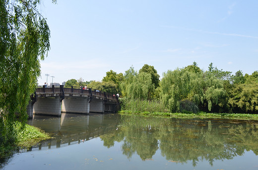 去长沙洋湖湿地公园，来一场心灵旅行（一）