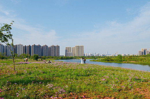 去长沙洋湖湿地公园，来一场心灵旅行（二）