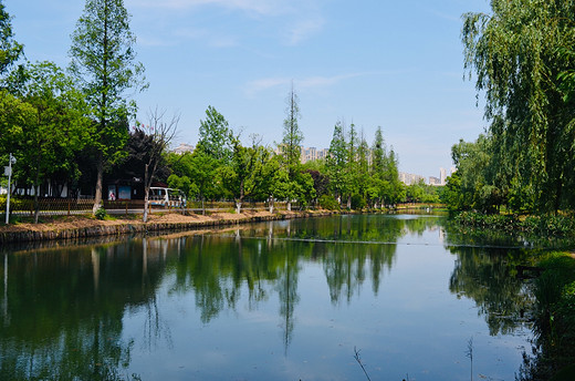 去长沙洋湖湿地公园，来一场心灵旅行（一）