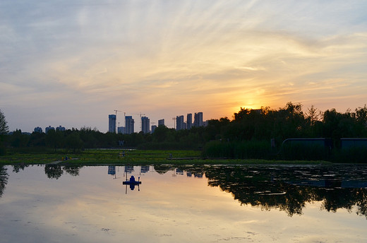 去长沙洋湖湿地公园，来一场心灵旅行（一）