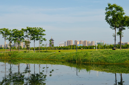 去长沙洋湖湿地公园，来一场心灵旅行（二）