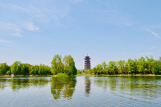 去长沙洋湖湿地公园，来一场心灵旅行（一）