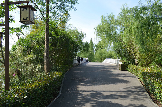 去长沙洋湖湿地公园，来一场心灵旅行（一）