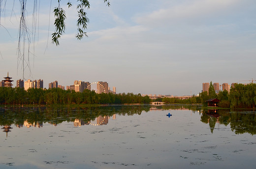 去长沙洋湖湿地公园，来一场心灵旅行（一）